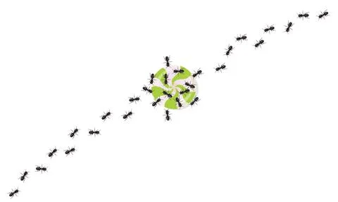 Realistic black ants trail attacking candy. Insects marching in a wavy line. Stock Illustration