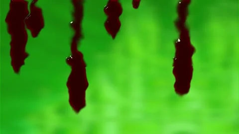Realistic Blood Dripping and Falling Droplets on glass Green Screen Vídeos de archivo 333620665