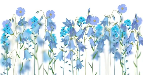 Realistic blue forget me nots, campanulas and linum flowers Stock Footage 173386308