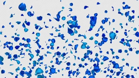 Realistic Blue Rose Petal Cluster Gently Falls and Disappears, Alpha Stock Footage 344034267