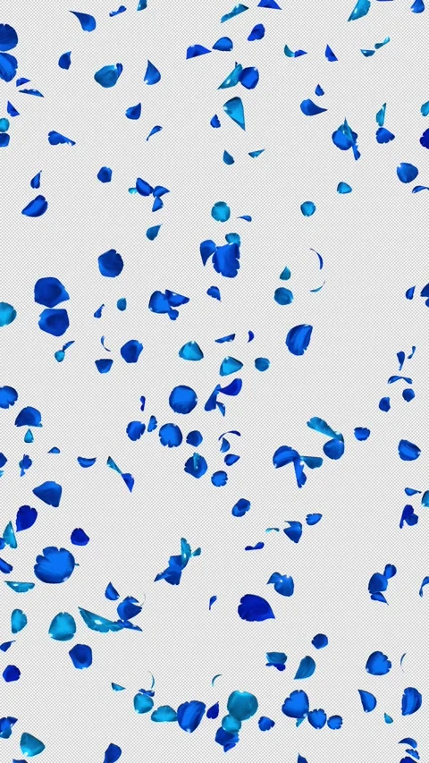 Realistic Blue Rose Petals Falling, Vertical Seamless Loop, Alpha Stock Footage 344034375