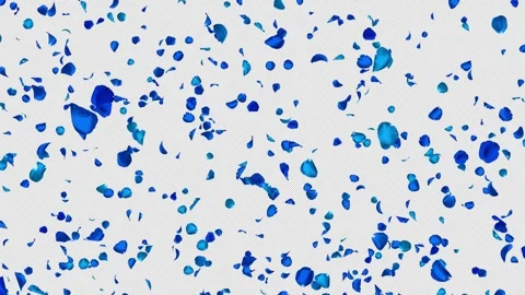 Realistic Blue Rose Petals Gently Falling, Seamless Loop, Alpha Stock Footage 344034366