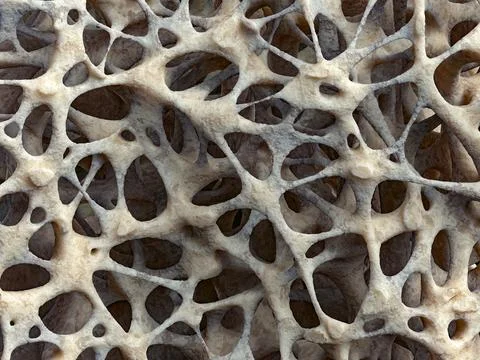 Realistic bone spongy structure close-up, bone texture affected by osteoporosis Stock-Illustration