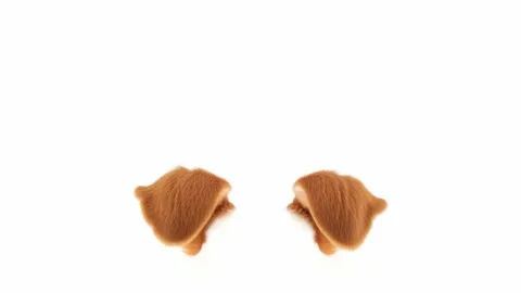 Realistic brown bunny ears isolated on a white background. Animated cinemagra Stock Footage 331361626