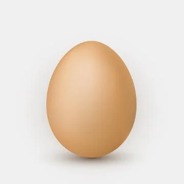 Realistic brown egg with shadow on white background. Stock Illustration