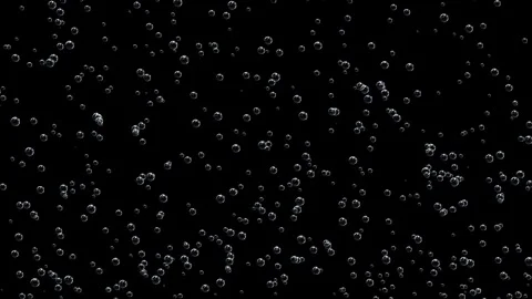 Realistic bubbles floating on a black background. Stock Footage 318588079