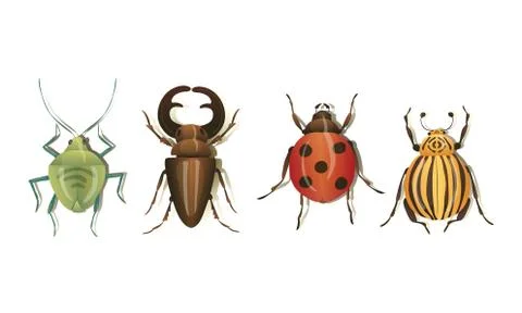 Realistic Bugs and Insects with Shadows Vector Set Stock Illustration