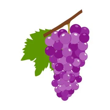 A realistic bunch of grapes isolated on a white background. Stock Illustration