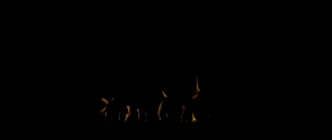 Realistic Burning Ground Fire Effect Premium 4K Fire Background Stock Footage 340079859