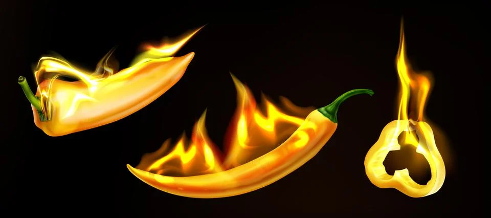 Realistic burning pepper with fire flames Illustrazione stock