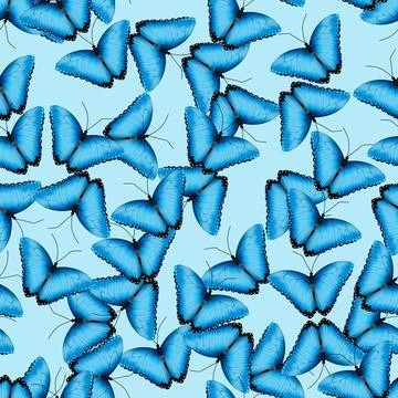 Realistic butterfly pattern. Seamless vector illustration of blue black Stock Illustration