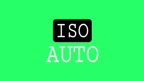 Realistic camera settings ISO AUTO on green background.  Stock Footage 171650433