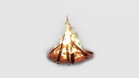 Realistic Campfire With a Burnt Ground Vidéo 153793053