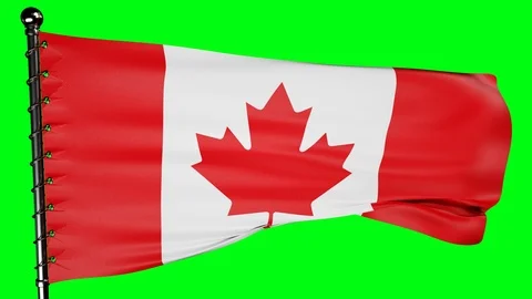 Realistic Canada Flag In The Wind 4k Stock Footage 114888679