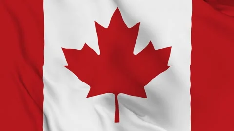 Realistic Canada waving flag. Stock Footage 202580134