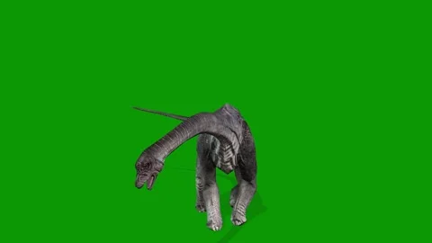 Realistic Carnotaurus idle Front Side on Green Screen Video-Jurassic  Stock Footage 319932603