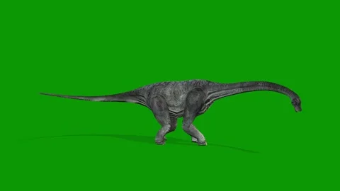 Realistic Carnotaurus idle Right on Green Screen Video-Jurassic Dinosaur VFX Stock Footage 319932601