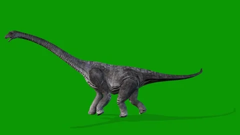 Realistic Carnotaurus Walking Left Green Screen Video 스톡 동영상 319932636