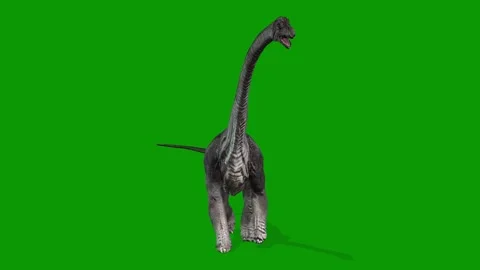 Realistic Carnotaurus Walking Left Green Screen Video 스톡 동영상 319932641