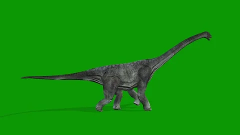 Realistic Carnotaurus Walking Right Green Screen Video-Jurassic Dinosaur VFX Stock Footage 319932633