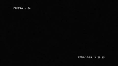 Realistic CCTV Security Camera Viewfinder Overlay with Noise Stock Footage 345665787