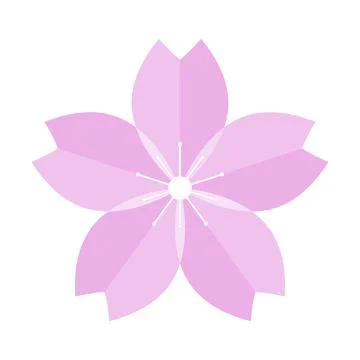 Realistic cherry blossom icon. Vector. Stock Illustration