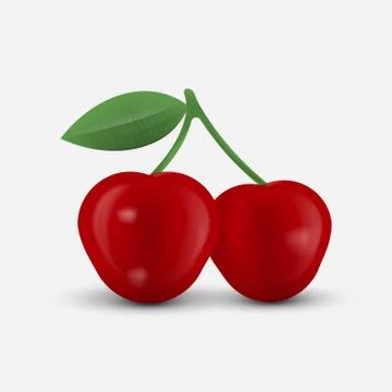 Realistic cherry isolated on a twhite background. Vector illustration. Stock Illustration
