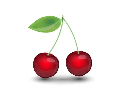 Realistic Cherry Isolated on White Background. Stock Illustration