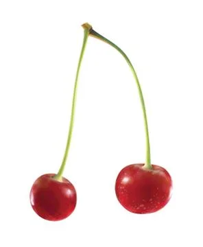 Realistic cherry isolated on white background Stock Illustration