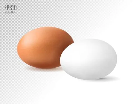 Realistic chicken egg set. Brown and white eggs. Isolated vector mockup. Easter 스톡 일러스트