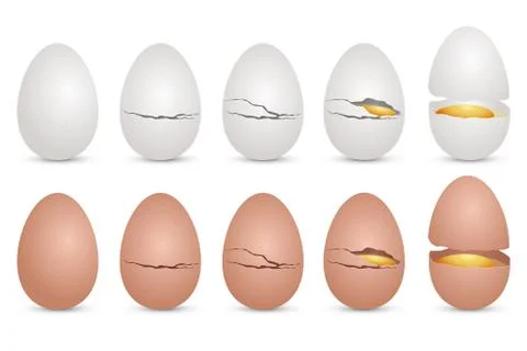 Realistic chicken egg vector design illustration isolated on white background Stock Illustration