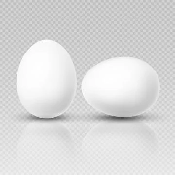 Realistic chicken egg. Vector template for easter decoration Stock Illustration