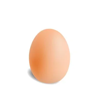 Realistic chicken egg on white background Stock Illustration
