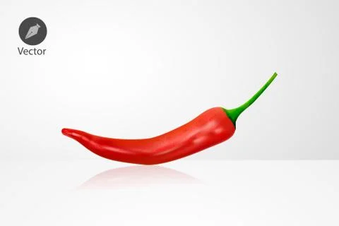 Realistic Chilli. Vector illustration with texture. Stock Illustration