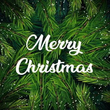 Realistic Christmas tree branches background. Stock Illustration