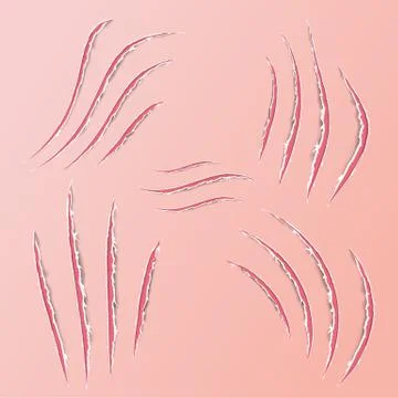 Realistic claws animal scratch scrape track. Cat tiger scratches paw shape. F Stock Illustration
