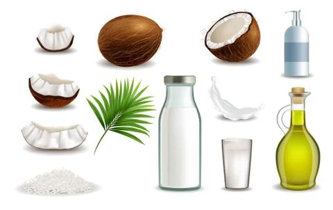 Realistic coconut fruit, vector isolated illustration on white Stock Illustration