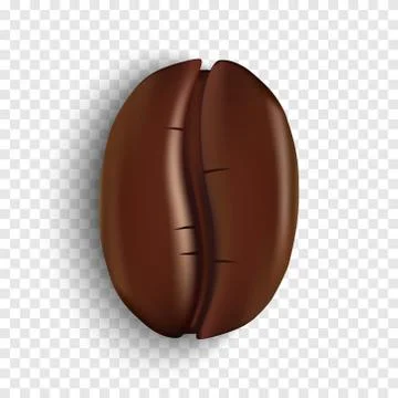 Realistic coffee bean on transparent background, vector illustration Stock Illustration