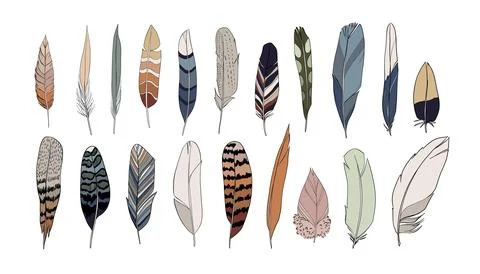 Realistic colored feathers set. Vector illustration Stock Illustration