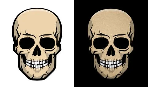 Realistic colored human skull with shadows Stock-Illustration