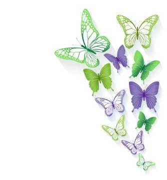 Realistic Colorful Butterflies for Spring Elements Stock Illustration