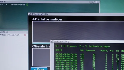 Realistic Hacking Screen Stock Videos – Royalty-Free HD & 4K Videos