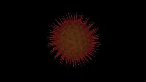 Realistic Coronavirus evolution with alpha channel. Red Coronavirus Covid-19 Stock Footage 126731713