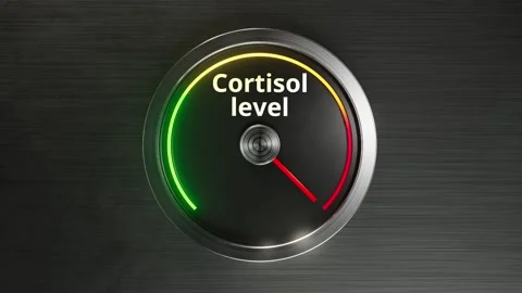 Realistic cortisol level gauge animation from low to high Stock Footage 319454215