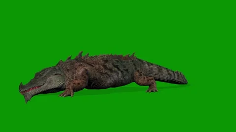 Realistic Crocodile Attacking Scene Left Side 3D Animation on Green Screen Stock Footage 314542727