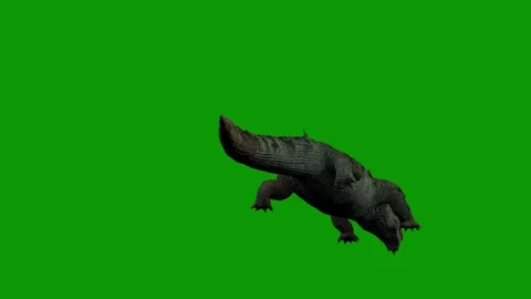 Realistic Crocodile Attacking Scene From Under 3D Animation on Green Screen Stock Footage 314542669