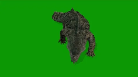 Realistic Crocodile Run Fast Front Side 3D Animation on Green Screen Stockbeeldmateriaal 314542747
