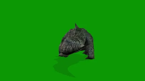 Realistic Crocodile Walking Back Side 3D Animation on Green Screen Stock Footage 314542837