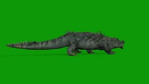 Realistic Crocodile Walking Right Side 3D Animation on Green Screen Stock Footage 314542970