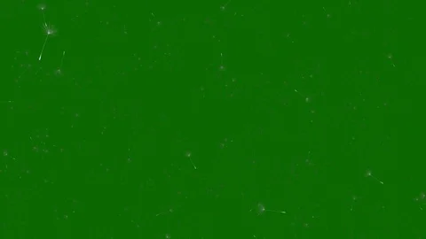 Realistic Dandelion Seeds Blowing in the Wind, isolated on Green Screen Stock Footage 103453301